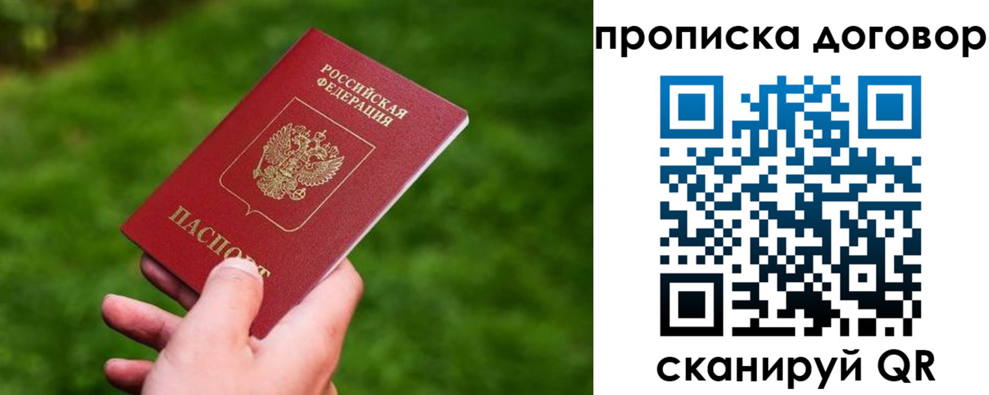 прописка гарантия в Соколе